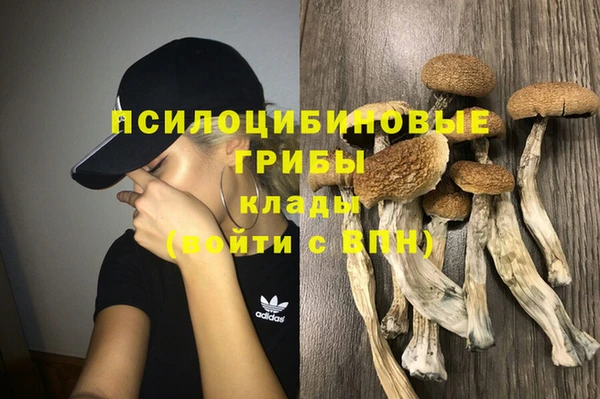 МДПВ Володарск