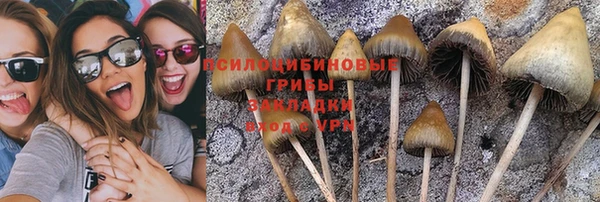 МДПВ Володарск